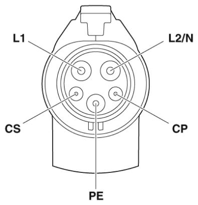 pro (6)